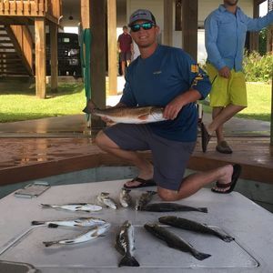 Meet your Posher, Blake